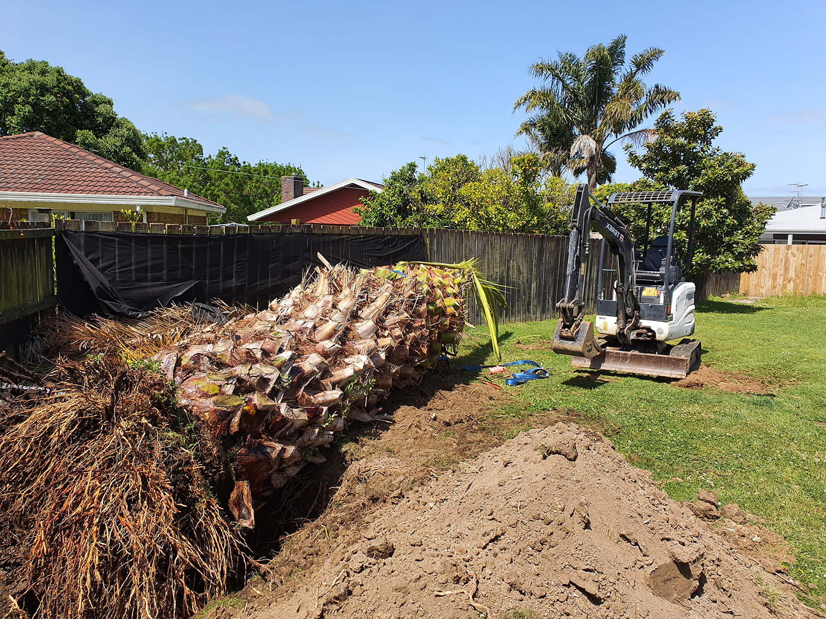 Multiple Diggers Home - Counties Equipment Hire Auckland